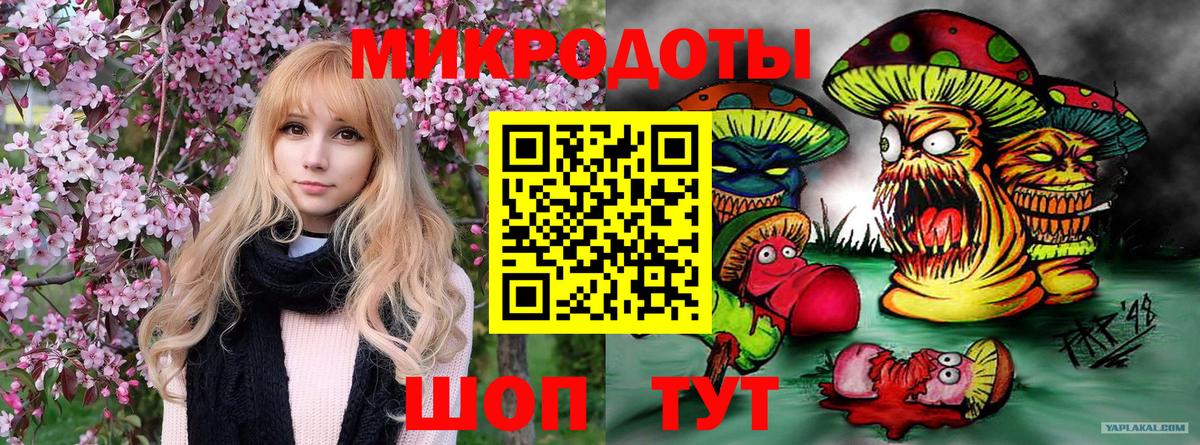 Псилоцибиновые грибы GOLDEN TEACHER  Вход с VPN  Галлюциногенные грибы мухоморы  Сальск 