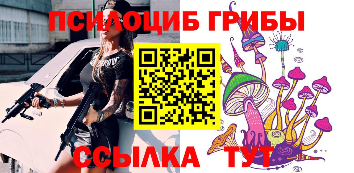 Псилоцибиновые грибы Psilocybe Сальск