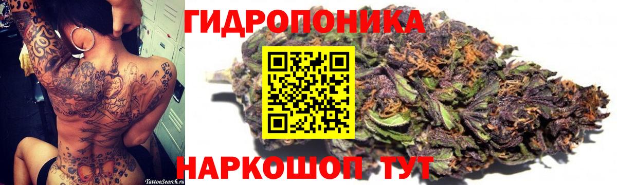 Канабис план  Марихуана Bruce Banner  Вход с VPN  Сальск  Канабис план  Конопля VHQ 